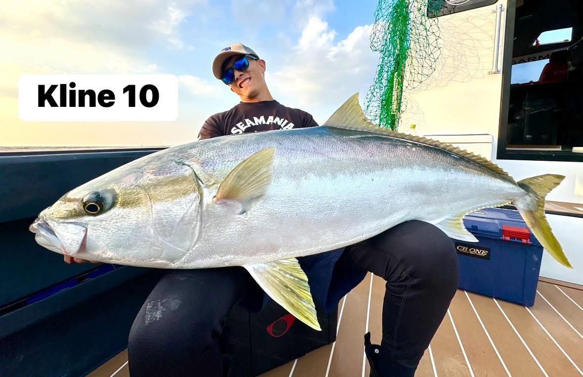 K LINE-HIDAKA飛鷹:圖片 3